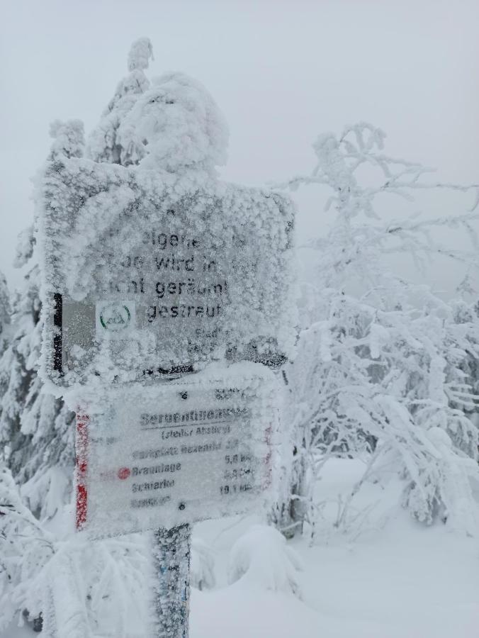 Appartamento Walpurgis Hexe Braunlage Esterno foto