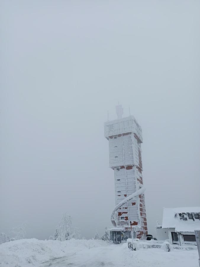 Appartamento Walpurgis Hexe Braunlage Esterno foto