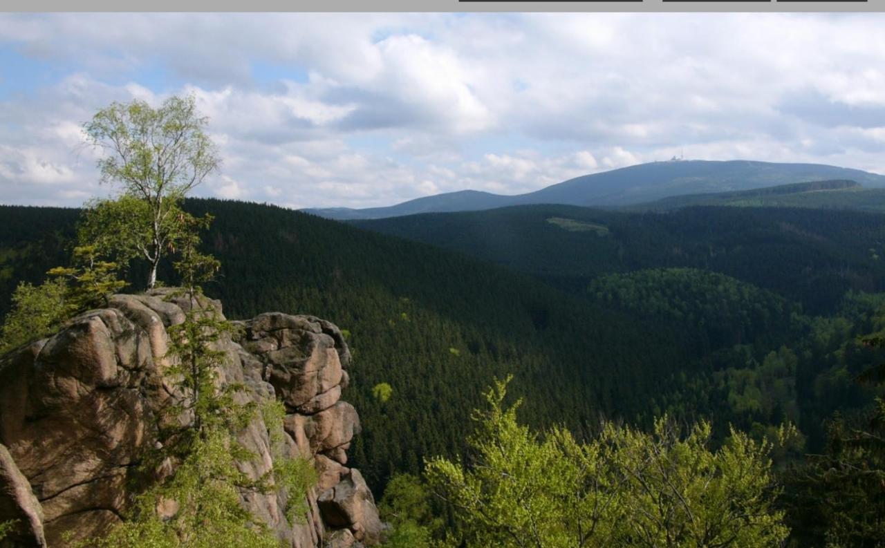 Appartamento Walpurgis Hexe Braunlage Esterno foto