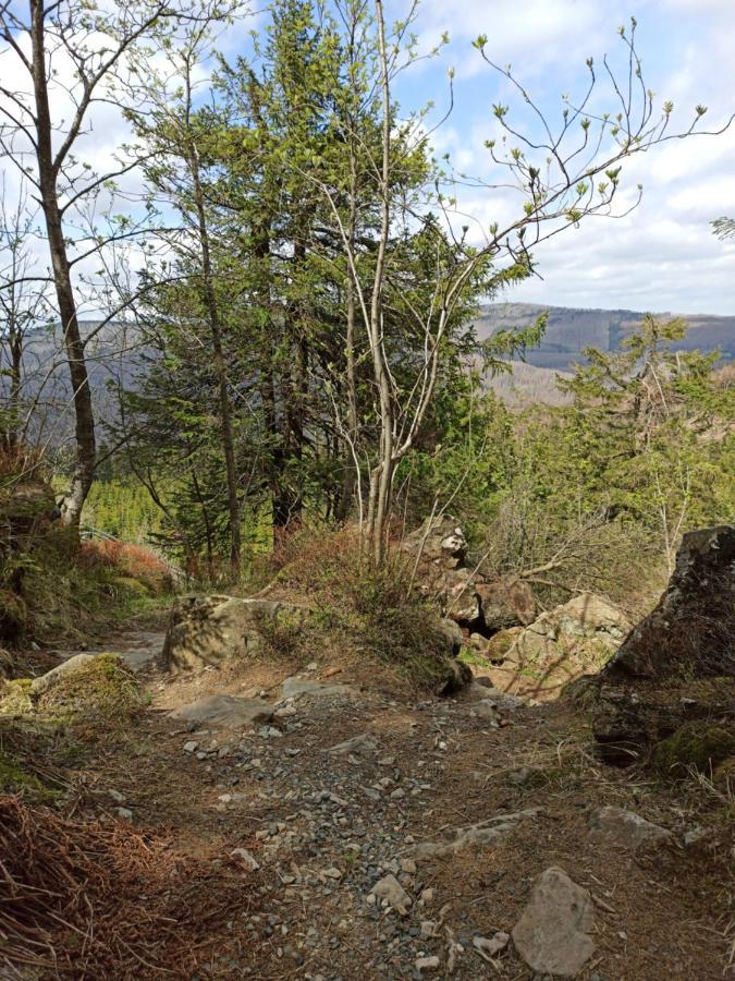 Appartamento Walpurgis Hexe Braunlage Esterno foto